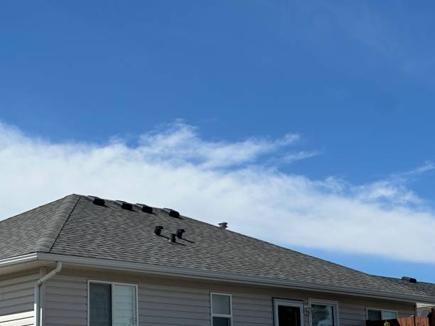 Commercial Roofing Services in Thompson, ND